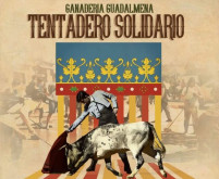 Solidariedade para a DANA em Valência. 